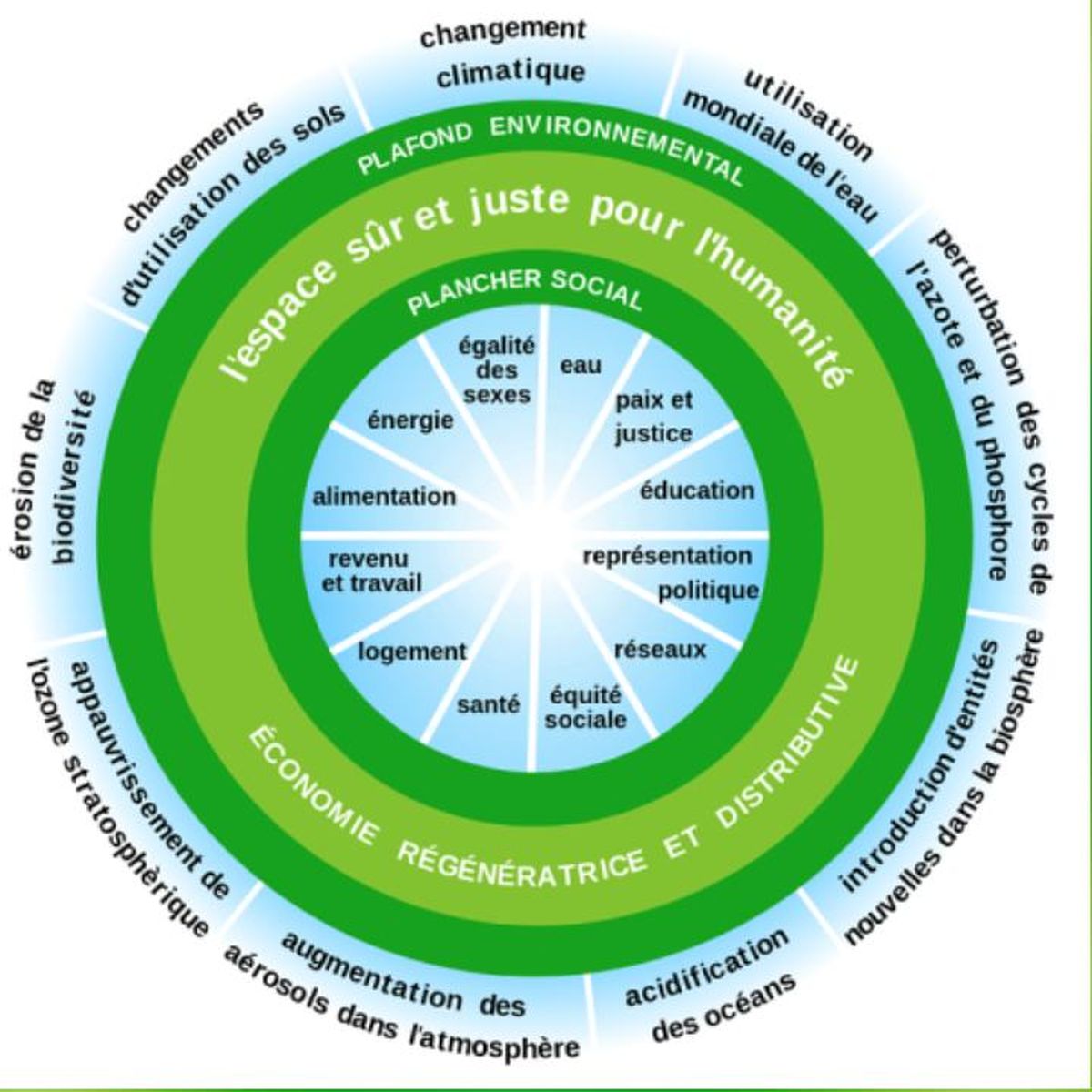 La théorie du Donut : une boussole pour une prospérité juste et durable