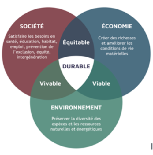 unpacte stratégie unpacte conseil
