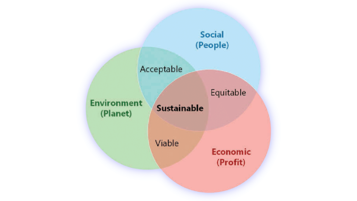 L’audit RSE : un outil stratégique pour une entreprise durable